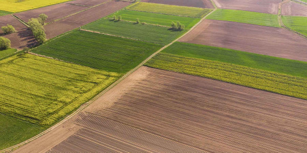 Agrimensura Fincas Rurales